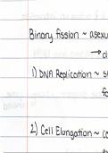 Mitosis, Meiosis, and Mendel Laws