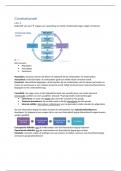 Samenvatting Correlationeel en Experimenteel BOS