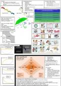 Oriënteren op het werkveld samenvatting e-learning Scrum Skoledo, opleiding AD management