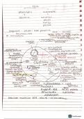 AS Level/A Level Biology - Cell Structure 