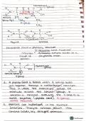 AS Level/A Level Biology – Biological Molecules 