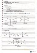 AS Level/A Level Biology – Biological Molecules    