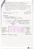 AS Level/A Level Biology – Biological Molecules 