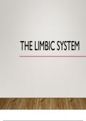 The Limbic system