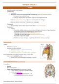 Samenvatting partim anatomie (Bouw en functie lll)