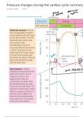 Pressure changes during the cardiac cycle 