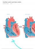 Cardiac cycle A level Biology 