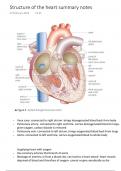 Structure of the heart A level Biology