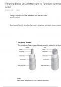 Relating blood vessel structure to function A level Biology