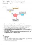 DNA and RNA structure