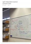 Light independent reaction A level Biology 