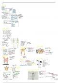 Summary Life sciences. Grade 11 IEB- Skeleton 