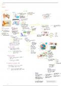 Summary Life sciences. Grade 11 IEB- receptor ear