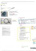 Summary Life sciences. Grade 11 IEB- receptor- eye