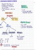 Generalidades de hipertension arterial