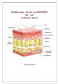 Testvision Samenvatting de Huid (Cursus 1, jaar 1)