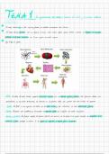 Tema 1 La organización general del cuerpo humano