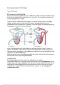 Biologie samenvatting 6 VWO Thema 2: Transport