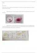 Coordinated Science Chemistry IGCSE