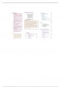 NUR 1015 Rheumatoid Arthritis Concept Map 