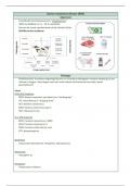 Samenvatting virale ziekten rund op basis van slides en extra info uit de les