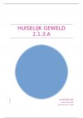 Huiselijk Geweld 2.1.3A 8,8 Gehaald! Onderdeel portfolio methodiek. Social Work jaar 2