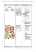 Samenvatting hersenaandoeningen biomedisch kader