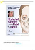 TEST BANK FOR ILLUSTRATED ANATOMY OF THE HEAD AND NECK 5THEDITION BY FEHRENBACH 2024.