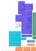 Organic chem mindmap/study notes 