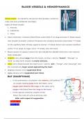 BLOOD VESSELS & HEMODYNAMICS