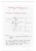 Morphology of Angiosperms 