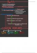 Summary Essentials of Medical Microbiology -  1124 (MBBS)