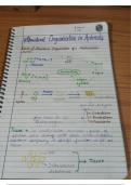 Class notes  BIOLOGY Simplified NCERT Class XI