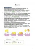 Biologie voor jou - Thema 8 - Stofwisseling in de cel - 8.2 - Enzymen