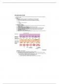 BIO 226 Endocrine System Notes 