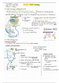 Chapter 11_DNA Technology _Notes