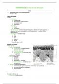 Samenvatting Hoofdstuk 10 De huid en Zintuigen.  LOI Anatomie en Fysiologie / Algemene Medische Kennis I (30975T1)