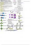 Covalent Bonding