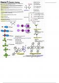 Covalent Bonding