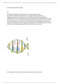 Biologiesamenvatting voor DNA School/eindexamen