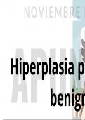 HIPERPLASIA PROSTATICA BENIGNA (H.P.B) - APUNTES 2024