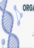 Organization of DNA in Eukaryotes