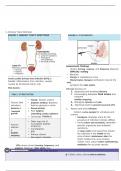 NCLEX Cheat Sheet UTI