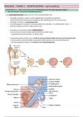 samenvatting 4bio voortplanting