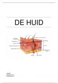 De huid, portfolio assessment 