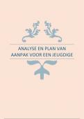 Analyse en plan van aanpak voor een jeugdige - semester 2 - leerhuis - Pedagogiek 