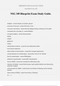 NSG 349-Blueprint Exam Study Guide.