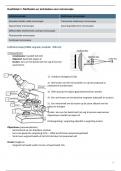 Samenvatting -  Histologie (H1-H9)