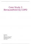 Benauwdheid bij COPD, casestudy jaar 3