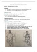 Overzichtelijke samenvatting BVJ hoofdstuk 2 Organen en cellen